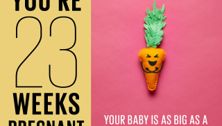 Your pregnancy: 23 weeks