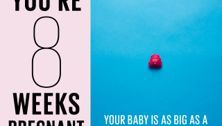 Your pregnancy: 8 weeks