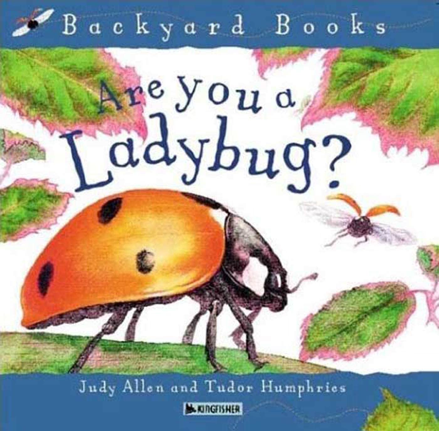 best toddler books, are you a ladybug?