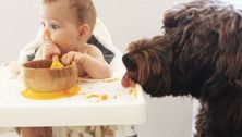 Feeding baby: 5 first-food myths