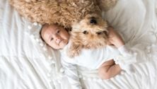 New Study Says Infants Exposed to Pets May Develop Fewer Food Allergies