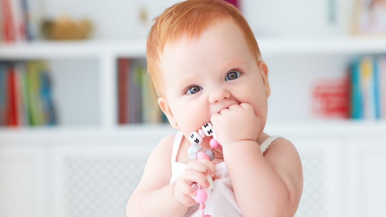 infant baby girl biting silicone nibbler toy