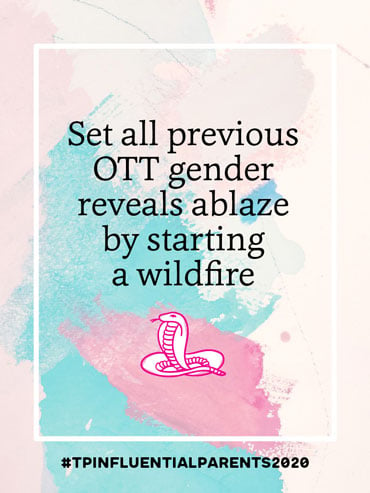 Set all previous OTT gender reveals ablaze by starting a wildfire