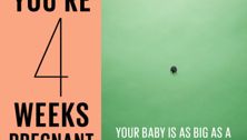 Your pregnancy: 4 weeks