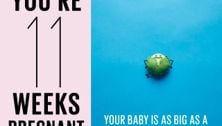 Your pregnancy: 11 weeks