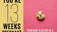 Your pregnancy: 13 weeks