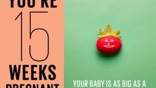 Your pregnancy: 15 weeks