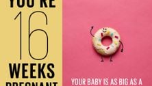 Your pregnancy: 16 weeks