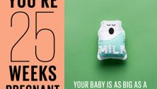 Your pregnancy: 25 weeks