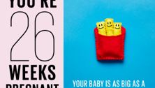 Your pregnancy: 26 weeks