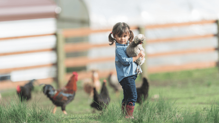 little girl standing in a grassy yard holding chickens and smiling at the camera